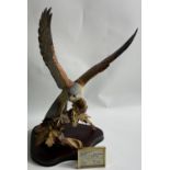 TOP QUALITY! WILDTRACK SCULPTURES large Flying Kestrel by David Ivey No 317 ornament 59cm high x