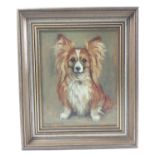 BORDER LOCAL INTEREST ARTIST MARGARET PEACH original oil on canvas of a Long Haired Corgi