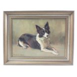 BORDER LOCAL INTEREST ARTIST MARGARET PEACH original oil on canvas OF A BORDER COLLIE