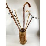 A collection of old walking sticks to include a VINTAGE shooting stick etc - all within a small