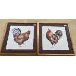 A pair of well known ANNABEL FAIRFAX ORIGINAL watercolours of strutting cockerels - dimensions for