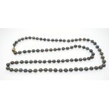 A QUALITY SET OF COLOURED PEARL NECKLACE to include aUK 925 stamped silver catch single strung