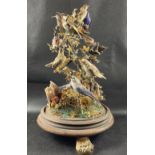 Victorian Taxidermy Glass Dome with 17 exotic birds - height 50cm x 30cm width approx
