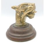 Brass Head oriental Dragon / Lion Head solid piece mounted (screwed) onto a bakelite base
