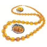 A nice AMBER graduated bead necklace with two charming SUPER QUALITY amber brooches, one of which