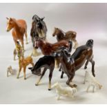 Collection of ceramic horses, to include a Coopercraft Shire 8in x10in, a Coopercraft Horse 7in x