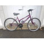 RALEIGH MAX Ladies mountain bike in nice condition - An ideal Xmas present!