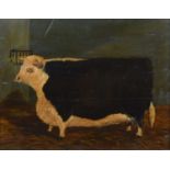 English School (19th/20th century) Portrait of a bull