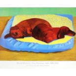 David Hockney R.A. (British 1937-) "Dog Paintings, Salts Mill, 1995"