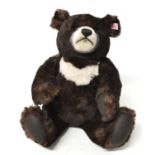 Steiff boxed bear Moon ted