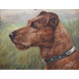 Edward Aistrop (British active from 1880-1920) The Irish Terrier, Champion Beeston Belle