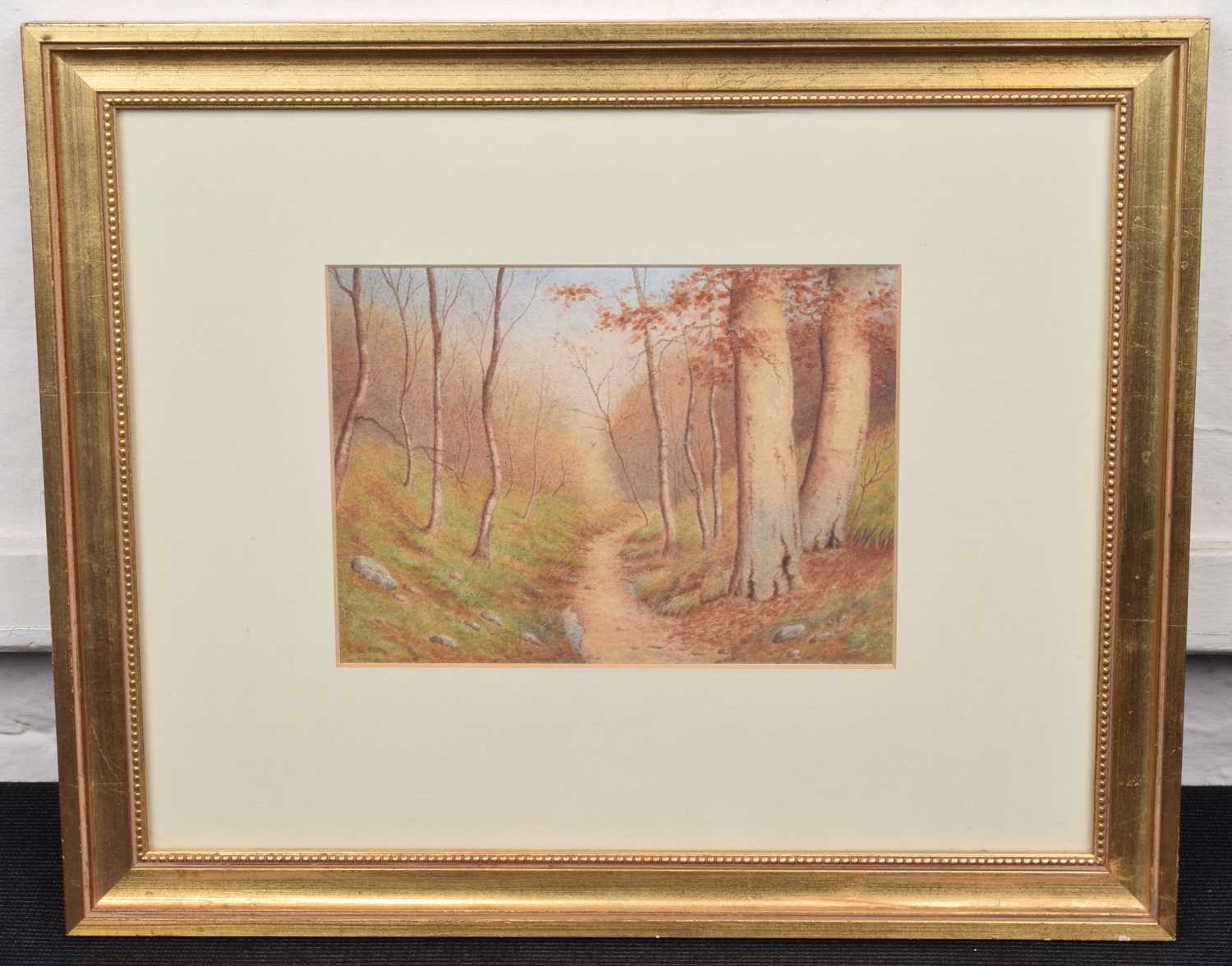 E.L. Fear (British 20th century) Woodland scene - Image 2 of 2