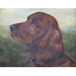 Edward Aistrop (British active from 1880-1920) The Irish Setter, Champion Brian O'Lynn