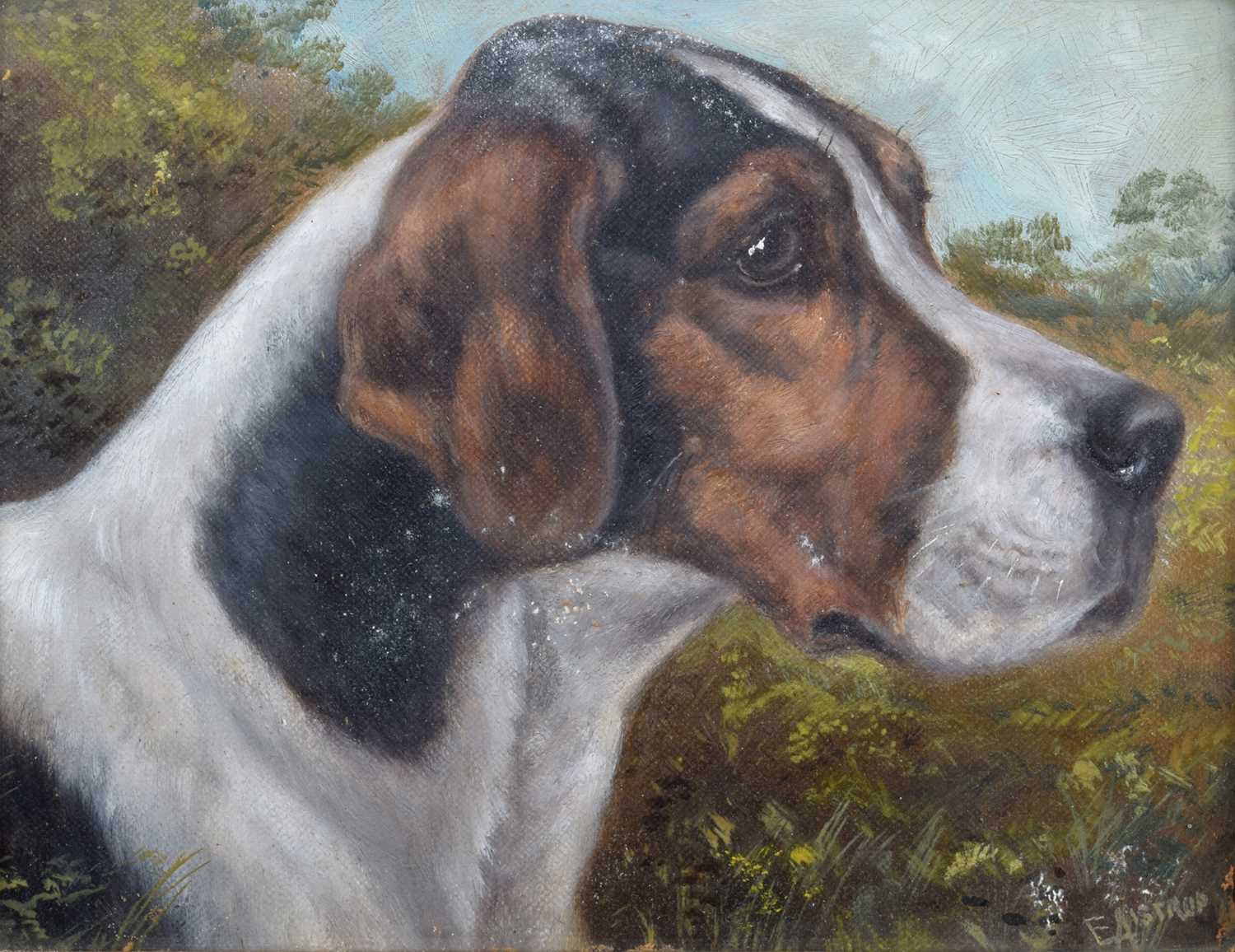 Edward Aistrop (British active from 1880-1920) Portrait of a Foxhound