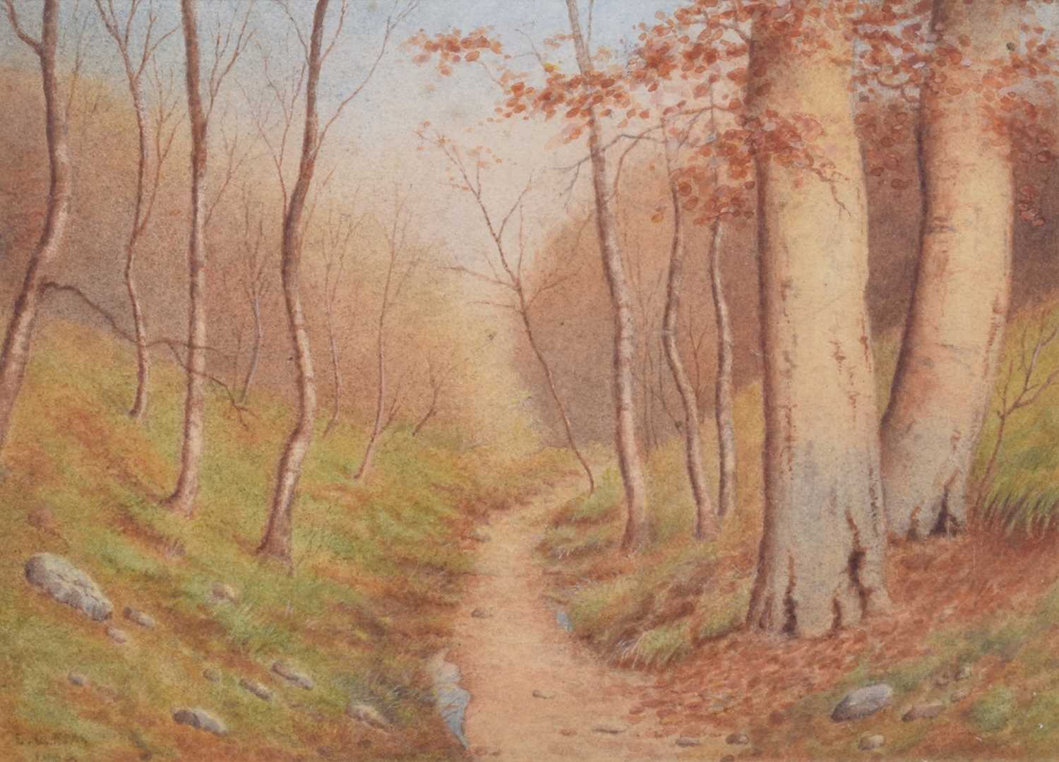 E.L. Fear (British 20th century) Woodland scene