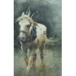 Tom Scott R.S.A., R.S.W. (Scottish 1854-1927) Horse study