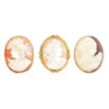 Three cameo brooches,