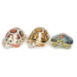 3 Royal Crown derby tortoise paperweights