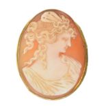 A shell cameo brooch,