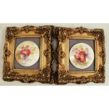 Two Royal Worcester circular domed plaques, decorated with autumnal fruits and leaves by Kitty