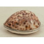 A 19th Scottish provincial silver mounted cowrie shell snuff box, with engraved decoration and