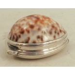 A 19th Scottish provincial silver mounted cowrie shell snuff box, with engraved decoration to the