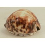 A 19th Scottish provincial silver mounted cowrie shell snuff box, with engraved decoration to the