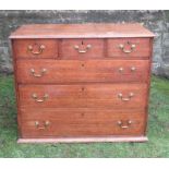 An oak chest, of three short over three long drawers, width 39.5ins x depth 21.75ins x height 32.