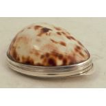 A 19th Scottish provincial silver mounted cowrie shell snuff box, with engraved decoration to the