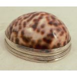 A 19th Scottish silver mounted cowrie shell snuff box, with engraved decoration to the hinged