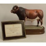 A Royal Worcester limited edition model, Dairy Shorthorn Bull, modelled by Doris Lindner, af, with