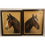Sharon Green, oil on canvas, two portraits of bay horses, 18ins x 14ins