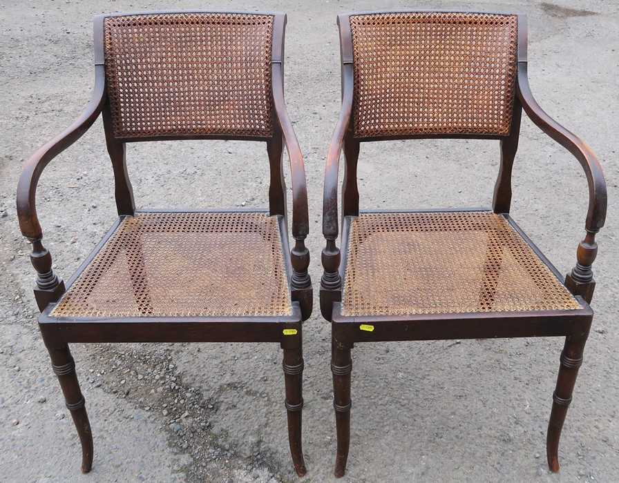 A pair of Regency style cane seated and backed armchairs, raised on slightly outswept faux bamboo