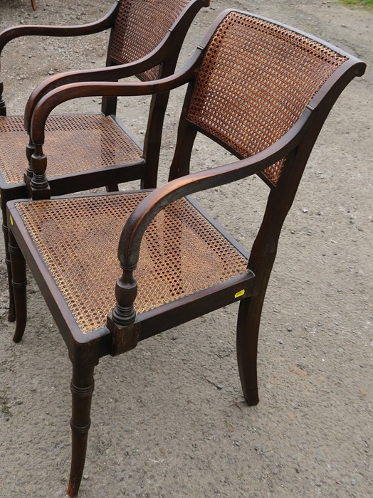 A pair of Regency style cane seated and backed armchairs, raised on slightly outswept faux bamboo - Image 2 of 2