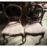 A pair of Victorian dining chairs, raised on cabriole legs
