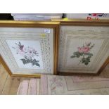 Two botanical prints, Framed size 26ins x 22ins