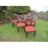 A set of six Victorian mahogany balloon back dining chairs