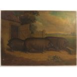 Richard Whitford, oil on canvas, study of prize winning pigs in landscape, titled, 1st Prize at
