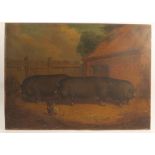 Richard Whitford, oil on canvas, study of prize winning pigs in landscape, titled, signed and dated,