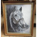 Portrait of a horse, signed Farnes