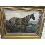 Norah Fox Archer, oil on canvas laid on board, study of a bay horse in landscape, 8ins x 11ins