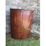 A 19th century oak bow fronted corner cupboard, the doors opening to reveal shelves, the two doors