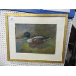 Frederick William George, pastel, study of a duck, 11ins x 15ins together with a catalogue