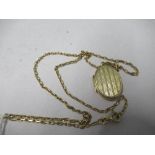 A carat gold oval locket on a chain, 8.1g gross