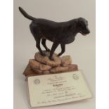 An Albany Fine Art model, Labrador, black, by Neil Campbell, with certificate