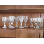 Nine various rummers and wine glasses, having engraved and etched bowls