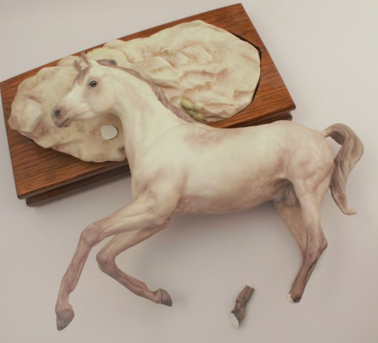 A Royal Worcester colour standard figure, Arab Stallion, no back stamp, af, with plinth