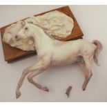 A Royal Worcester colour standard figure, Arab Stallion, no back stamp, af, with plinth