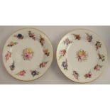 A pair of 19th century Swansea plates, decorated with floral sprays, diameter 8.5ins, stamped