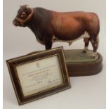 A Royal Worcester limited edition figure, Dairy Shorthorn Bull, modelled by Doris Lindner, with